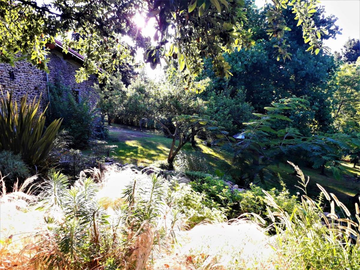 Bed and Breakfast Maison et Jardin Talinou à Montastruc  Extérieur photo